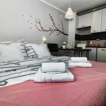 Apartman Studio Mini
