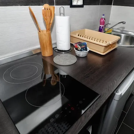 Studio Mini Apartman *