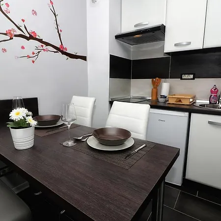 Studio Mini Apartman