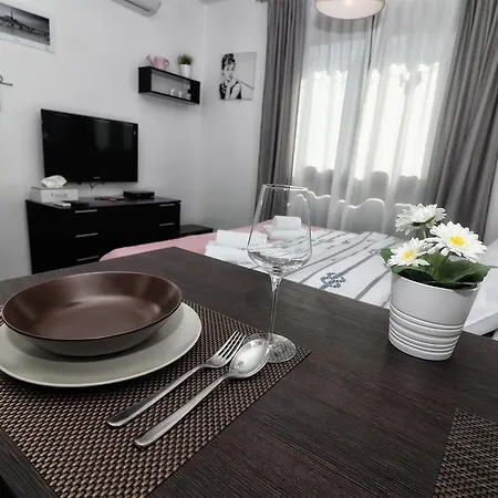 Studio Mini Apartman